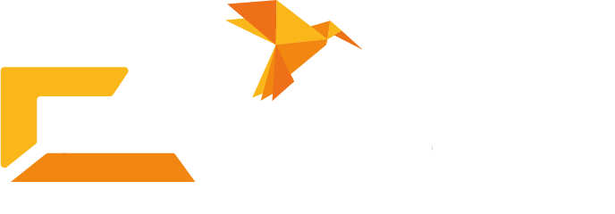 CRISE_logo